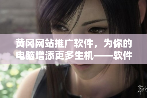 黃岡網(wǎng)站推廣軟件，為你的電腦增添更多生機——軟件測評，專業(yè)精準(zhǔn)基于實測