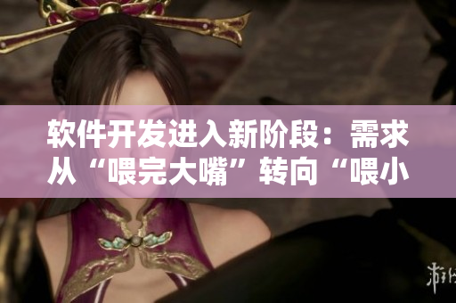 軟件開發(fā)進入新階段：需求從“喂完大嘴”轉(zhuǎn)向“喂小嘴”
