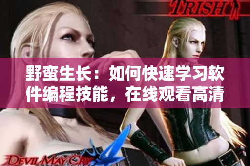 野蠻生長：如何快速學(xué)習(xí)軟件編程技能，在線觀看高清資源共享。