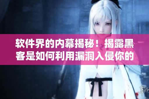 軟件界的內(nèi)幕揭秘！揭露黑客是如何利用漏洞入侵你的系統(tǒng)的