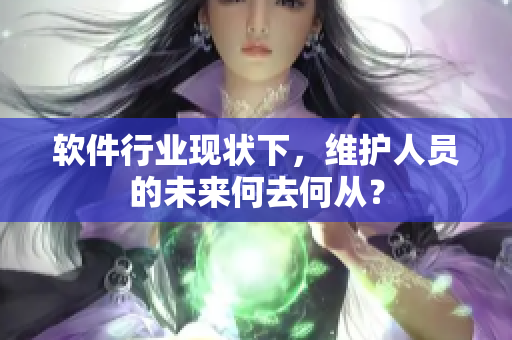 軟件行業(yè)現(xiàn)狀下，維護人員的未來何去何從？