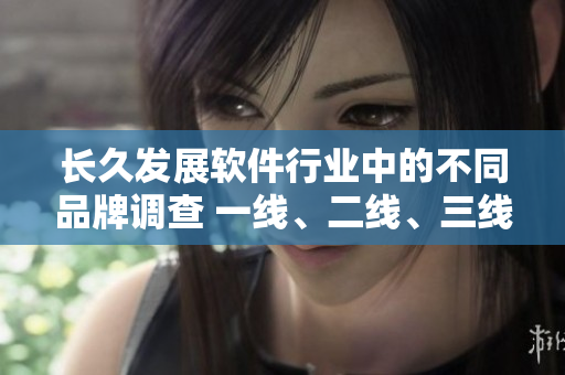 長(zhǎng)久發(fā)展軟件行業(yè)中的不同品牌調(diào)查 一線、二線、三線品牌各有何特點(diǎn)？