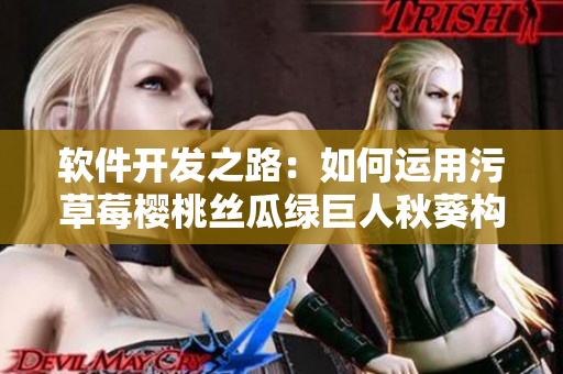 軟件開發(fā)之路：如何運用污草莓櫻桃絲瓜綠巨人秋葵構建技術世界。