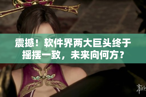 震撼！軟件界兩大巨頭終于搖擺一致，未來向何方？