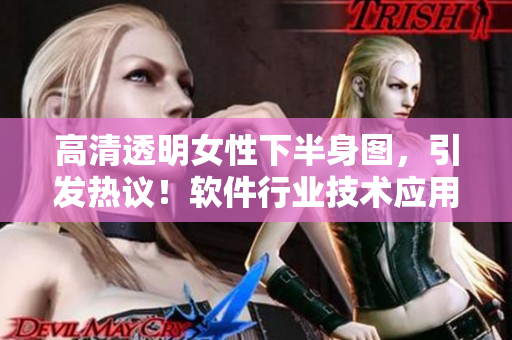 高清透明女性下半身圖，引發(fā)熱議！軟件行業(yè)技術(shù)應(yīng)用探討