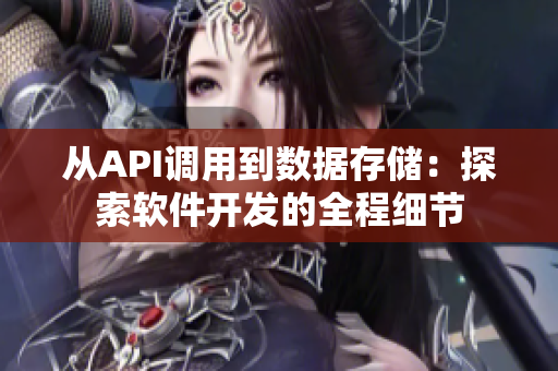 從API調(diào)用到數(shù)據(jù)存儲：探索軟件開發(fā)的全程細節(jié)