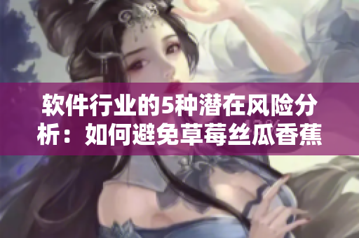 軟件行業(yè)的5種潛在風(fēng)險(xiǎn)分析：如何避免草莓絲瓜香蕉秋葵榴蓮般的挑戰(zhàn)？