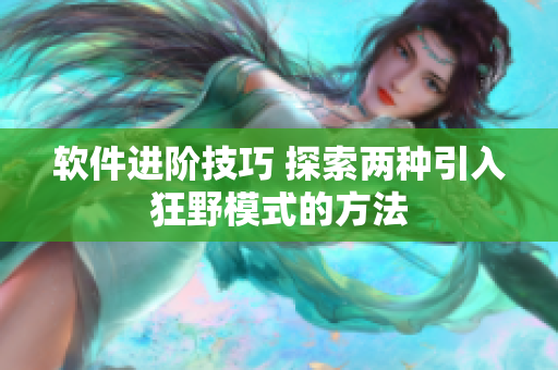 軟件進(jìn)階技巧 探索兩種引入狂野模式的方法