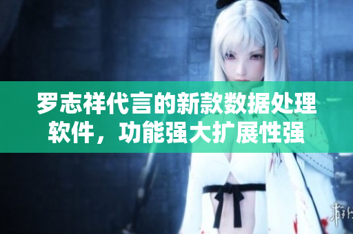 羅志祥代言的新款數據處理軟件，功能強大擴展性強