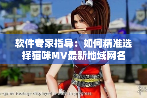 軟件專家指導(dǎo)：如何精準選擇貓咪MV最新地域網(wǎng)名