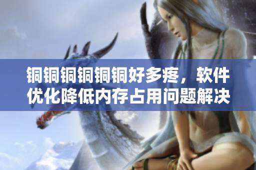銅銅銅銅銅銅好多疼，軟件優(yōu)化降低內存占用問題解決