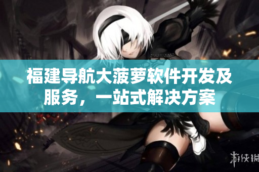 福建導(dǎo)航大菠蘿軟件開(kāi)發(fā)及服務(wù)，一站式解決方案