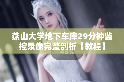 燕山大學地下車庫29分鐘監(jiān)控錄像完整剖析【教程】
