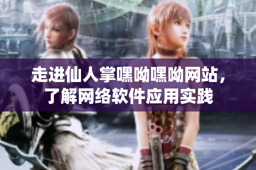 走進仙人掌嘿呦嘿呦網(wǎng)站，了解網(wǎng)絡軟件應用實踐