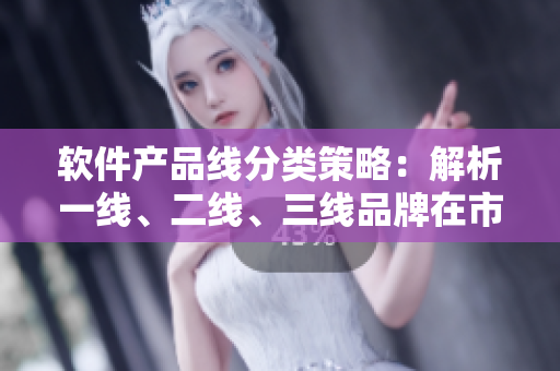 軟件產(chǎn)品線分類策略：解析一線、二線、三線品牌在市場競爭中的作用
