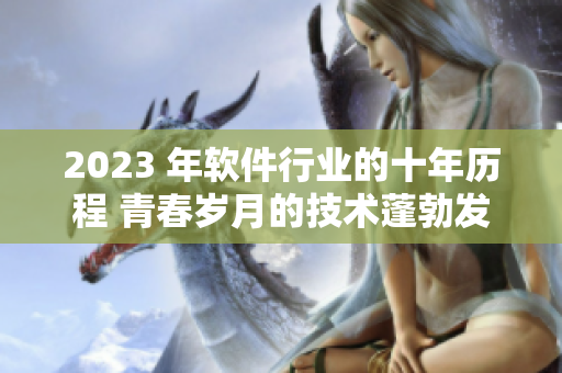 2023 年軟件行業(yè)的十年歷程 青春歲月的技術(shù)蓬勃發(fā)展
