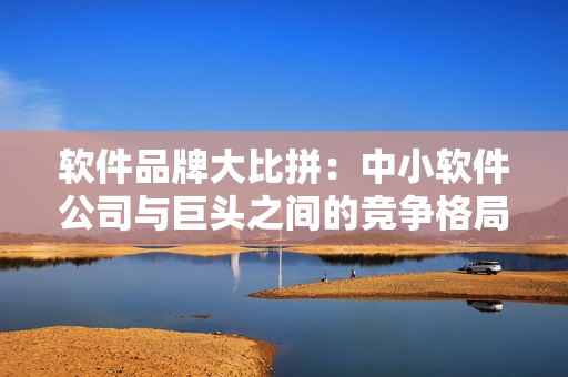 軟件品牌大比拼：中小軟件公司與巨頭之間的競(jìng)爭(zhēng)格局解析