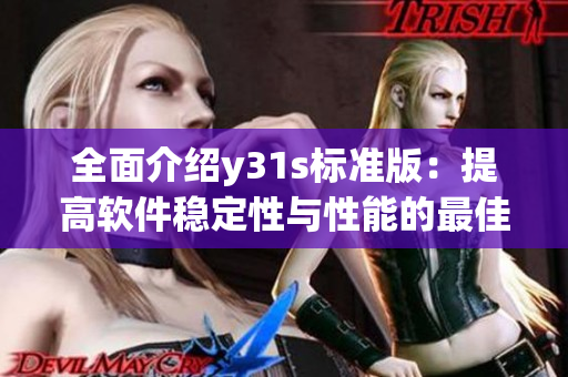 全面介紹y31s標(biāo)準(zhǔn)版：提高軟件穩(wěn)定性與性能的最佳選擇