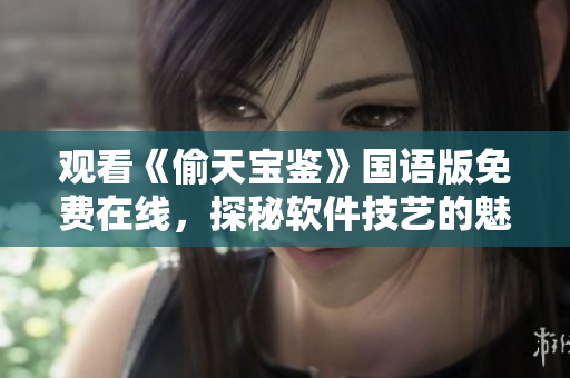 觀看《偷天寶鑒》國語版免費在線，探秘軟件技藝的魅力
