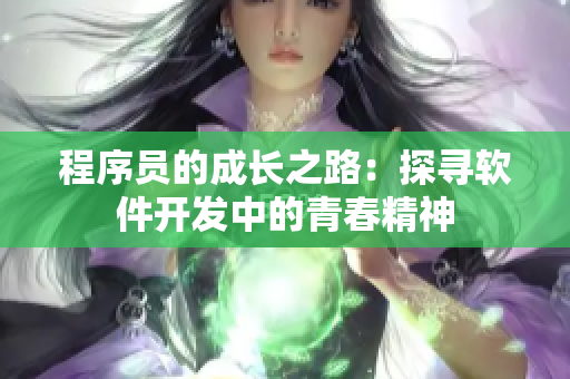 程序員的成長(zhǎng)之路：探尋軟件開(kāi)發(fā)中的青春精神