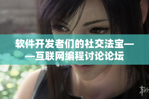 軟件開發(fā)者們的社交法寶——互聯(lián)網(wǎng)編程討論論壇
