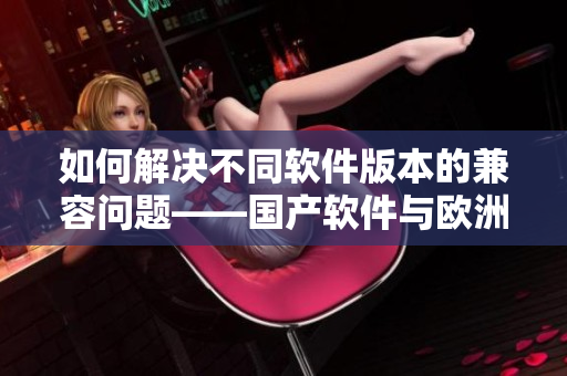 如何解決不同軟件版本的兼容問題——國產(chǎn)軟件與歐洲軟件尺碼對比