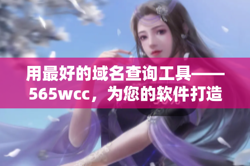 用最好的域名查詢工具——565wcc，為您的軟件打造完美網站