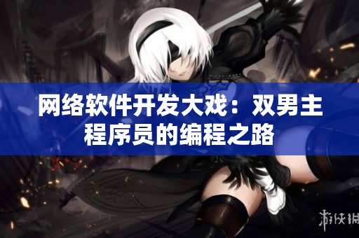 網(wǎng)絡(luò)軟件開發(fā)大戲：雙男主程序員的編程之路