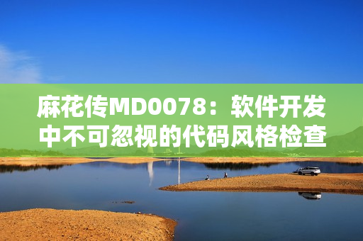 麻花傳MD0078：軟件開發(fā)中不可忽視的代碼風(fēng)格檢查工具