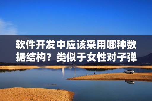 軟件開發(fā)中應該采用哪種數據結構？類似于女性對子彈頭或蘑菇頭的偏好