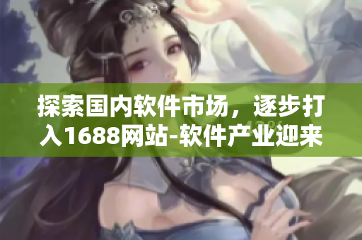 探索國內(nèi)軟件市場，逐步打入1688網(wǎng)站-軟件產(chǎn)業(yè)迎來新機遇