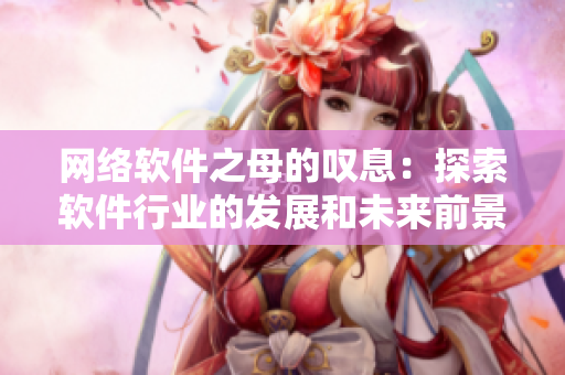 網(wǎng)絡(luò)軟件之母的嘆息：探索軟件行業(yè)的發(fā)展和未來(lái)前景