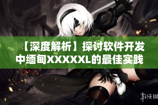 【深度解析】探討軟件開(kāi)發(fā)中緬甸XXXXXL的最佳實(shí)踐方法