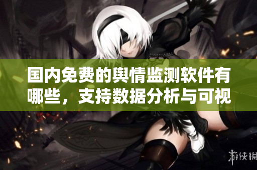 國(guó)內(nèi)免費(fèi)的輿情監(jiān)測(cè)軟件有哪些，支持?jǐn)?shù)據(jù)分析與可視化展示？