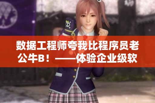 數(shù)據(jù)工程師夸我比程序員老公牛B！——體驗企業(yè)級軟件開發(fā)的巔峰之作