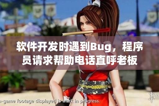 軟件開發(fā)時遇到Bug，程序員請求幫助電話直呼老板