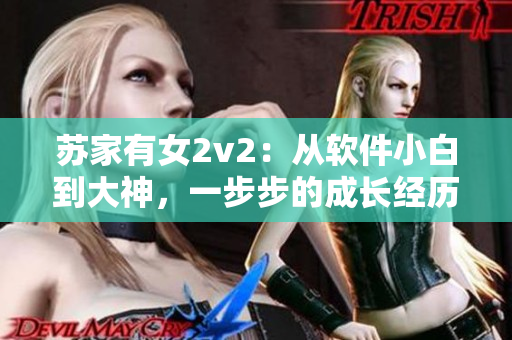 蘇家有女2v2：從軟件小白到大神，一步步的成長(zhǎng)經(jīng)歷