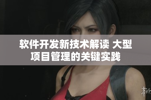 軟件開發(fā)新技術(shù)解讀 大型項目管理的關(guān)鍵實踐