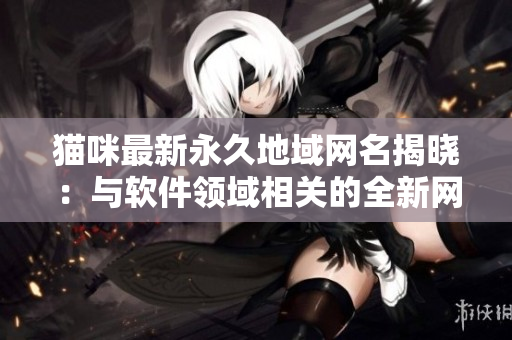 貓咪最新永久地域網(wǎng)名揭曉：與軟件領(lǐng)域相關(guān)的全新網(wǎng)絡(luò)地址