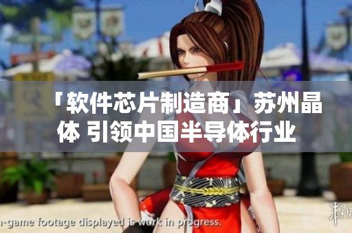 「軟件芯片制造商」蘇州晶體 引領(lǐng)中國(guó)半導(dǎo)體行業(yè)