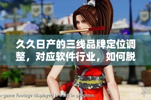 久久日產(chǎn)的三線品牌定位調(diào)整，對(duì)應(yīng)軟件行業(yè)，如何脫穎而出