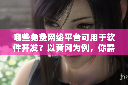 哪些免費網(wǎng)絡(luò)平臺可用于軟件開發(fā)？以黃岡為例，你需要知道的是？