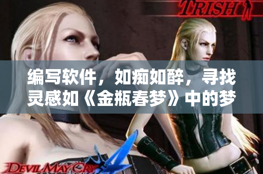 編寫軟件，如癡如醉，尋找靈感如《金瓶春夢(mèng)》中的夢(mèng)境