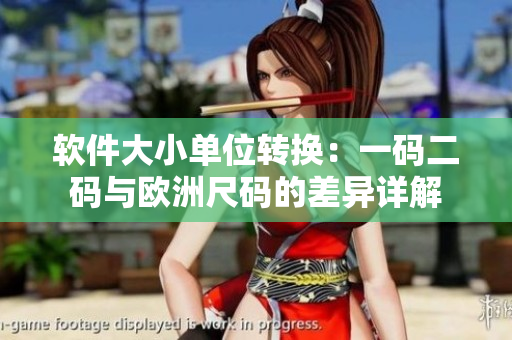 軟件大小單位轉(zhuǎn)換：一碼二碼與歐洲尺碼的差異詳解