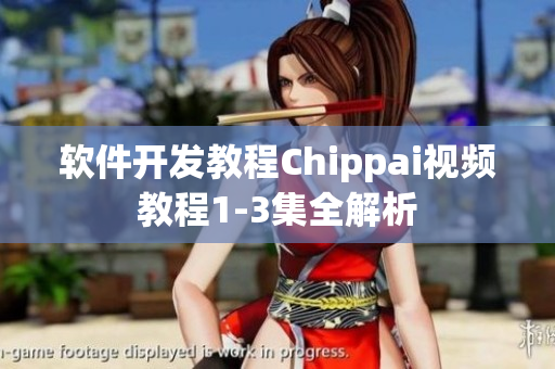 軟件開發(fā)教程Chippai視頻教程1-3集全解析