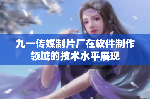 九一傳媒制片廠在軟件制作領域的技術水平展現(xiàn)