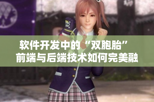 軟件開(kāi)發(fā)中的“雙胞胎” 前端與后端技術(shù)如何完美融合