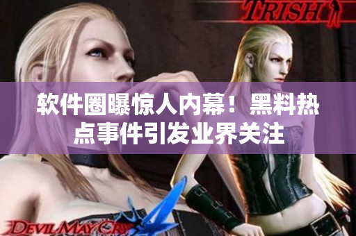 軟件圈曝驚人內(nèi)幕！黑料熱點(diǎn)事件引發(fā)業(yè)界關(guān)注