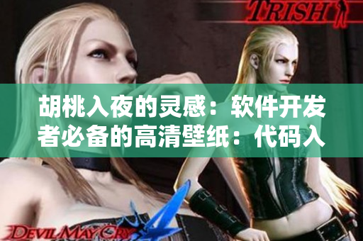 胡桃入夜的靈感：軟件開發(fā)者必備的高清壁紙：代碼入夜，攜胡桃狂飆！
