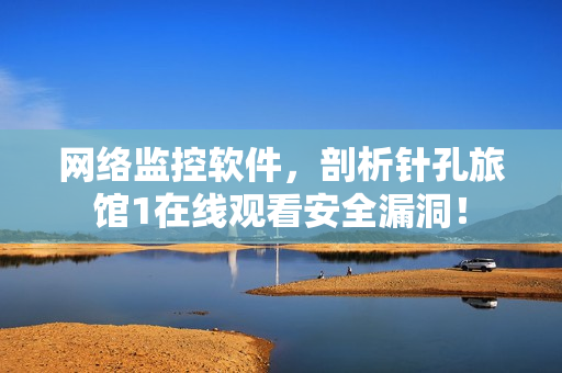 網(wǎng)絡(luò)監(jiān)控軟件，剖析針孔旅館1在線觀看安全漏洞！